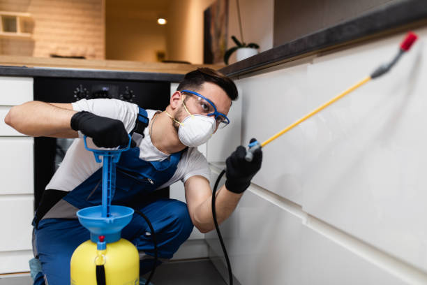 Best Local Pest Control Services  in Cotulla, TX