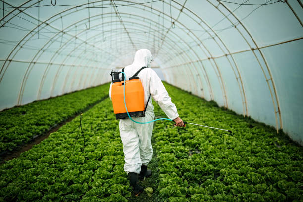 Best Commercial Pest Control Services  in Cotulla, TX
