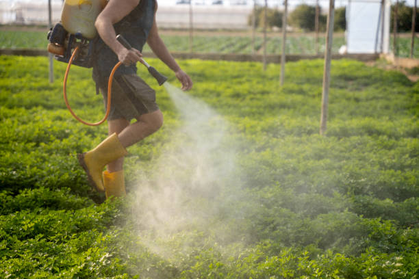 Best Emergency Pest Control  in Cotulla, TX