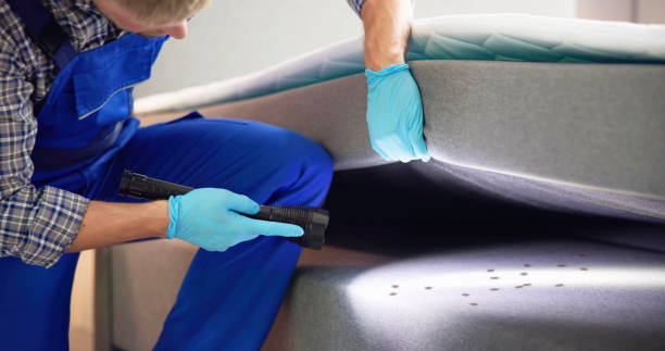 Best Flea Control Services  in Cotulla, TX